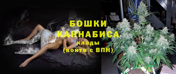 спайс Арсеньев