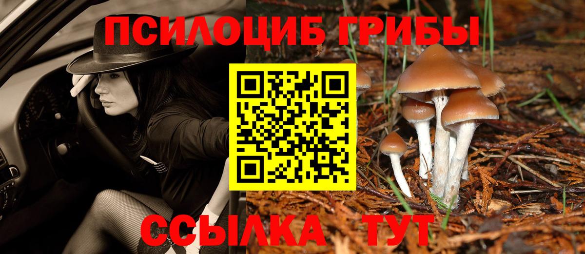 Радужный  Псилоцибиновые грибы Psilocybe  купить закладку  Вход с VPN  Галлюциногенные грибы мицелий 