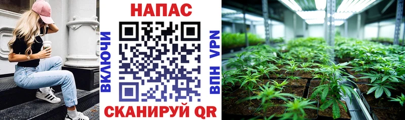 Бошки Шишки White Widow  Радужный 